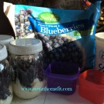frozen blueberries portioned out with yogurt in mason jars