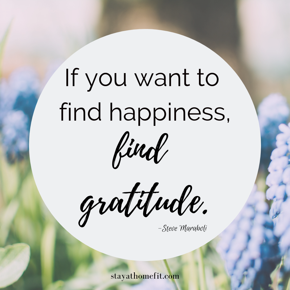 If you want to find happiness, find gratitude. - Steve Maraboli