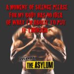 Insanity The Asylum