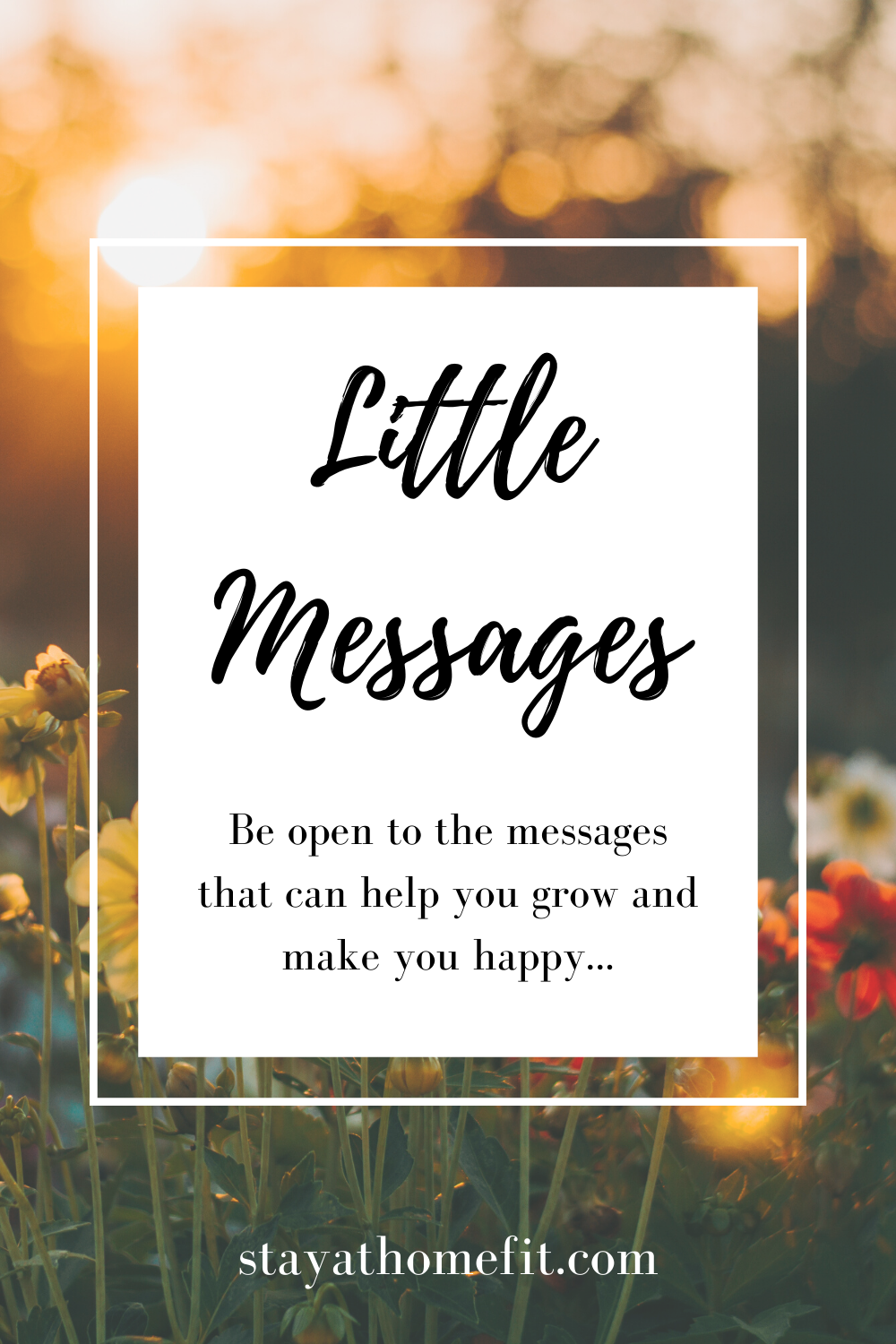 Little Messages: Be open to the messages that can help you grow and make you happy...