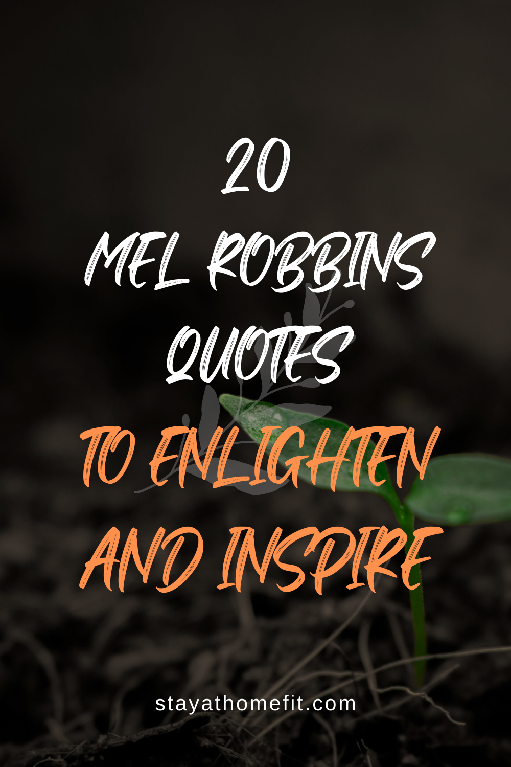 20 Mel Robbins Quotes to Enlighten and Inspire